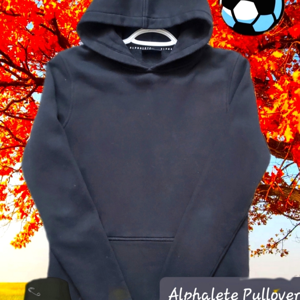 ALPHALETE Mens Hoodie sz L
